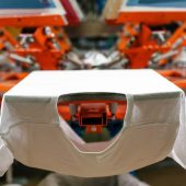 shutterstock_2281477897